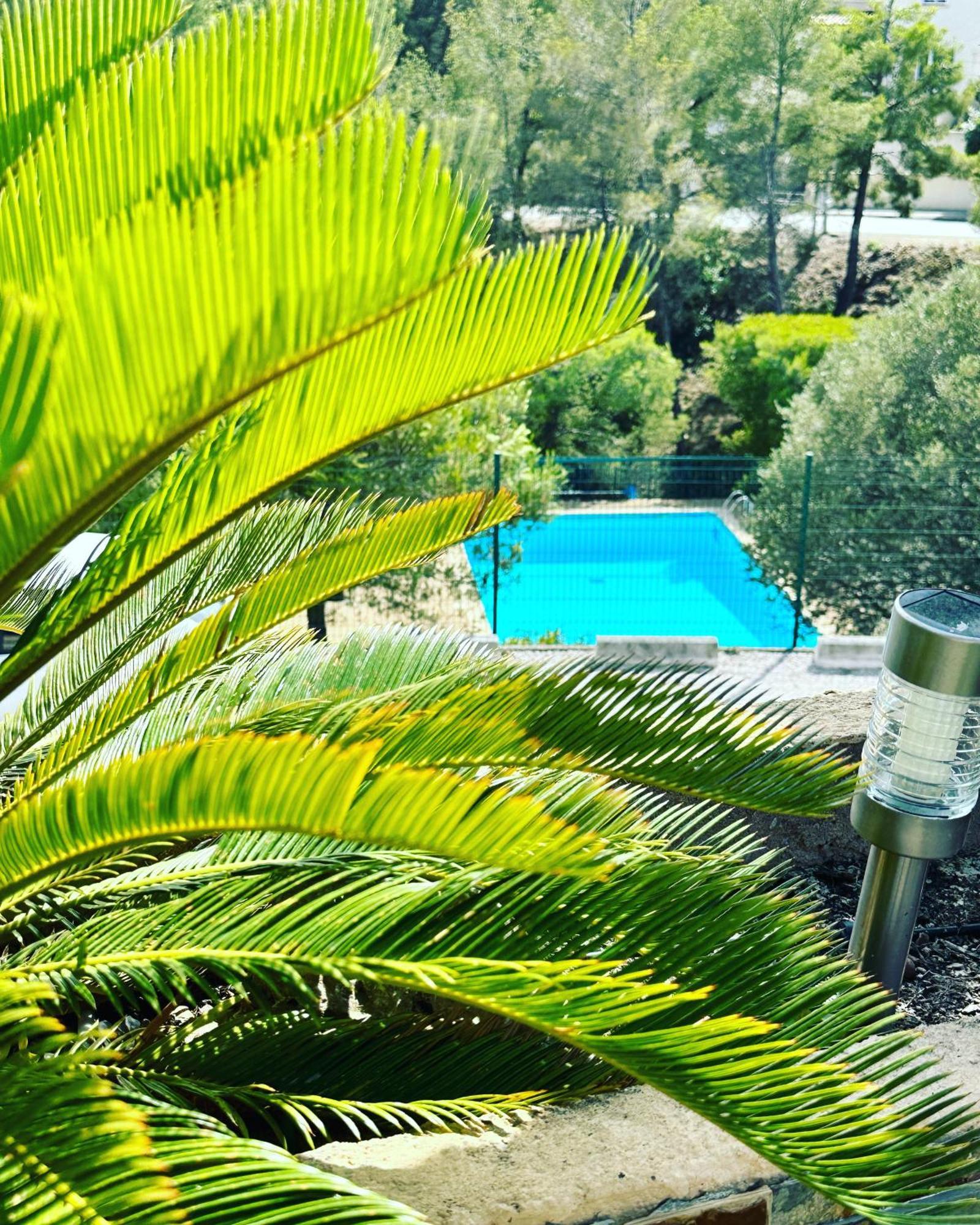 VUEMER Bandol - Appartement avec GRANDE TERRASSE de 45m2 VUE MER - PISCINE - PARKING Extérieur photo